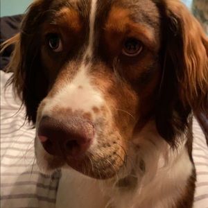 Meet your Posher, Blake